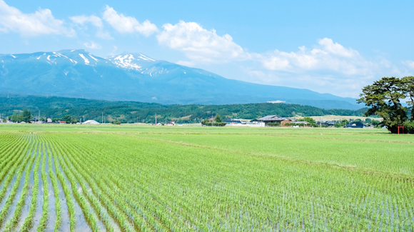 土地改良事業とは？