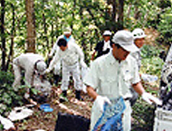 農村地域の現状