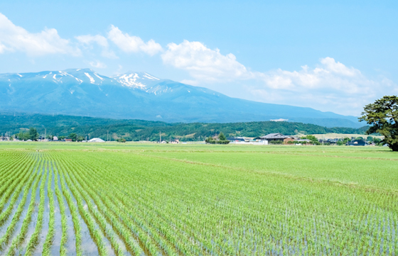 水土里ネット山形とは？