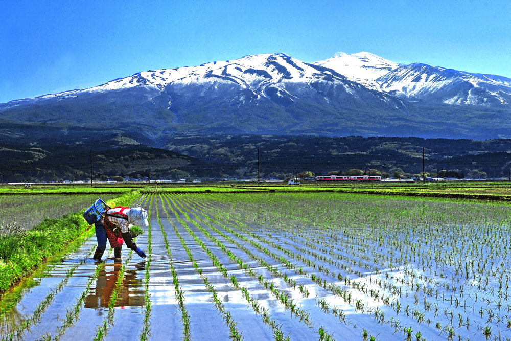 フォトコンテスト入賞作品