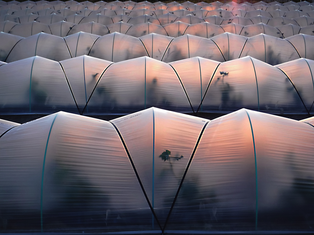 フォトコンテスト入賞作品