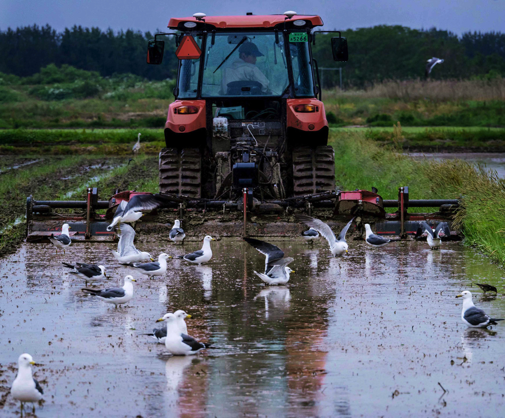 フォトコンテスト入賞作品