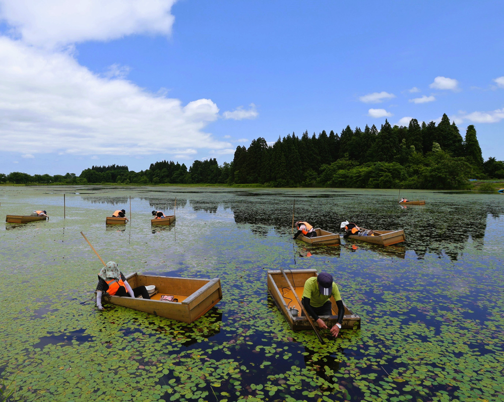 フォトコンテスト入賞作品