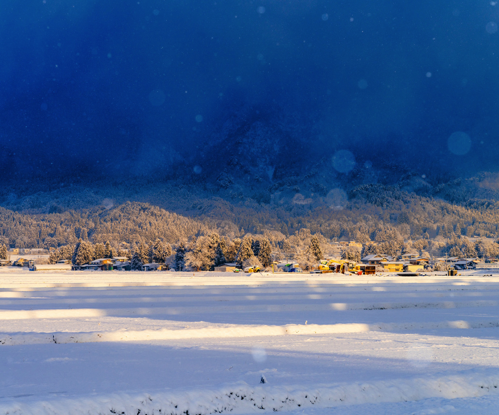 フォトコンテスト入賞作品