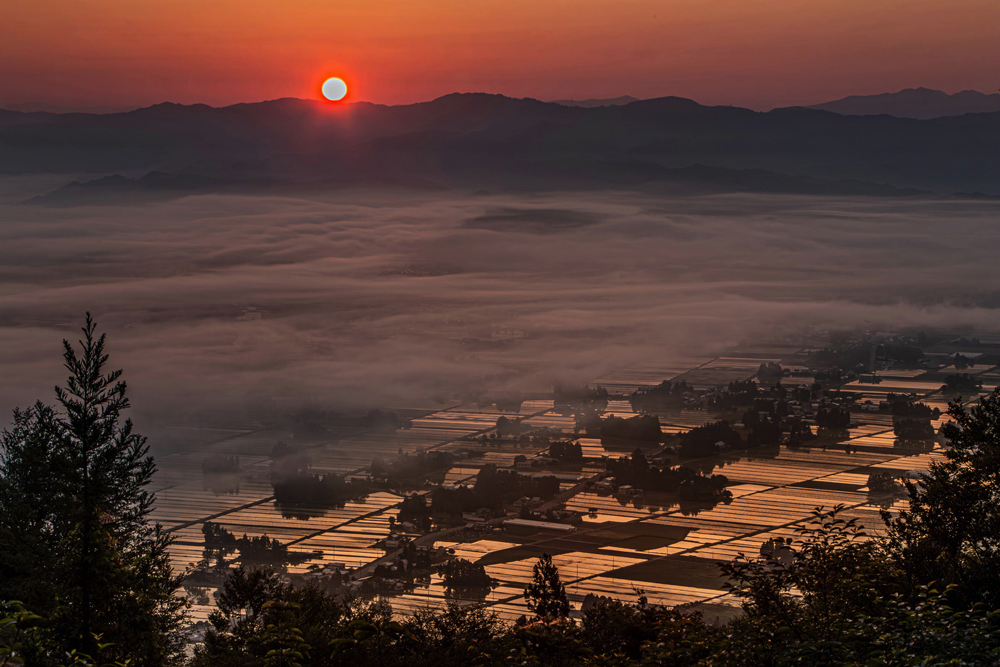 フォトコンテスト入賞作品