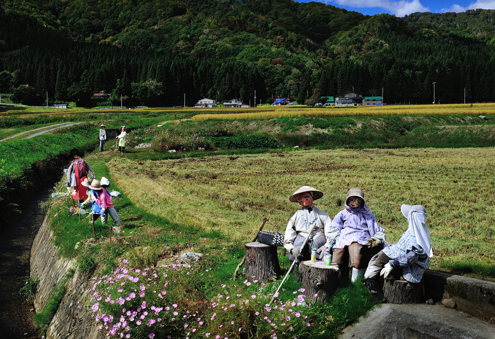 フォトコンテスト入賞作品