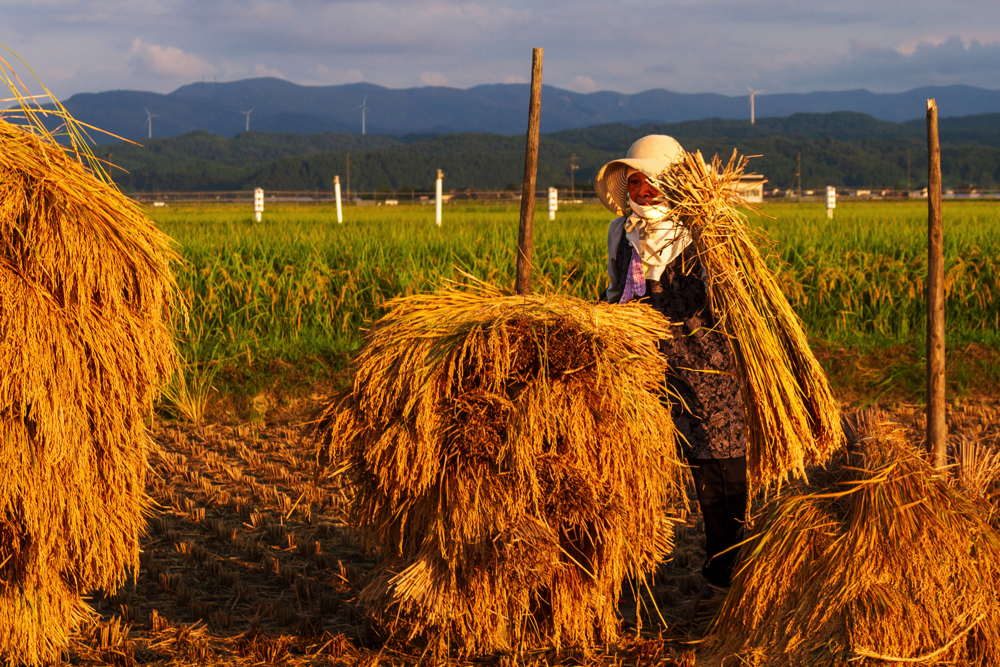 フォトコンテスト入賞作品