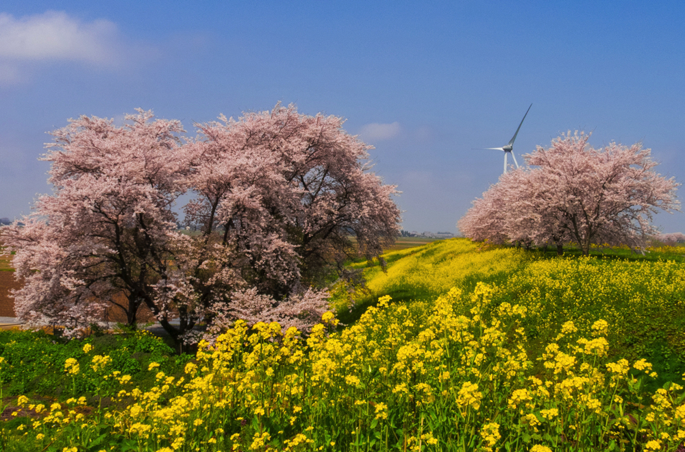 フォトコンテスト入賞作品