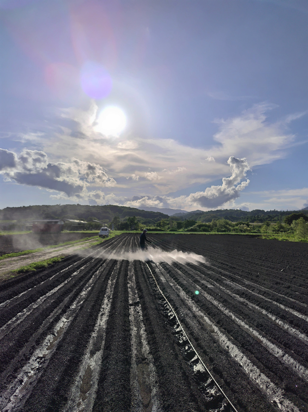 フォトコンテスト入賞作品