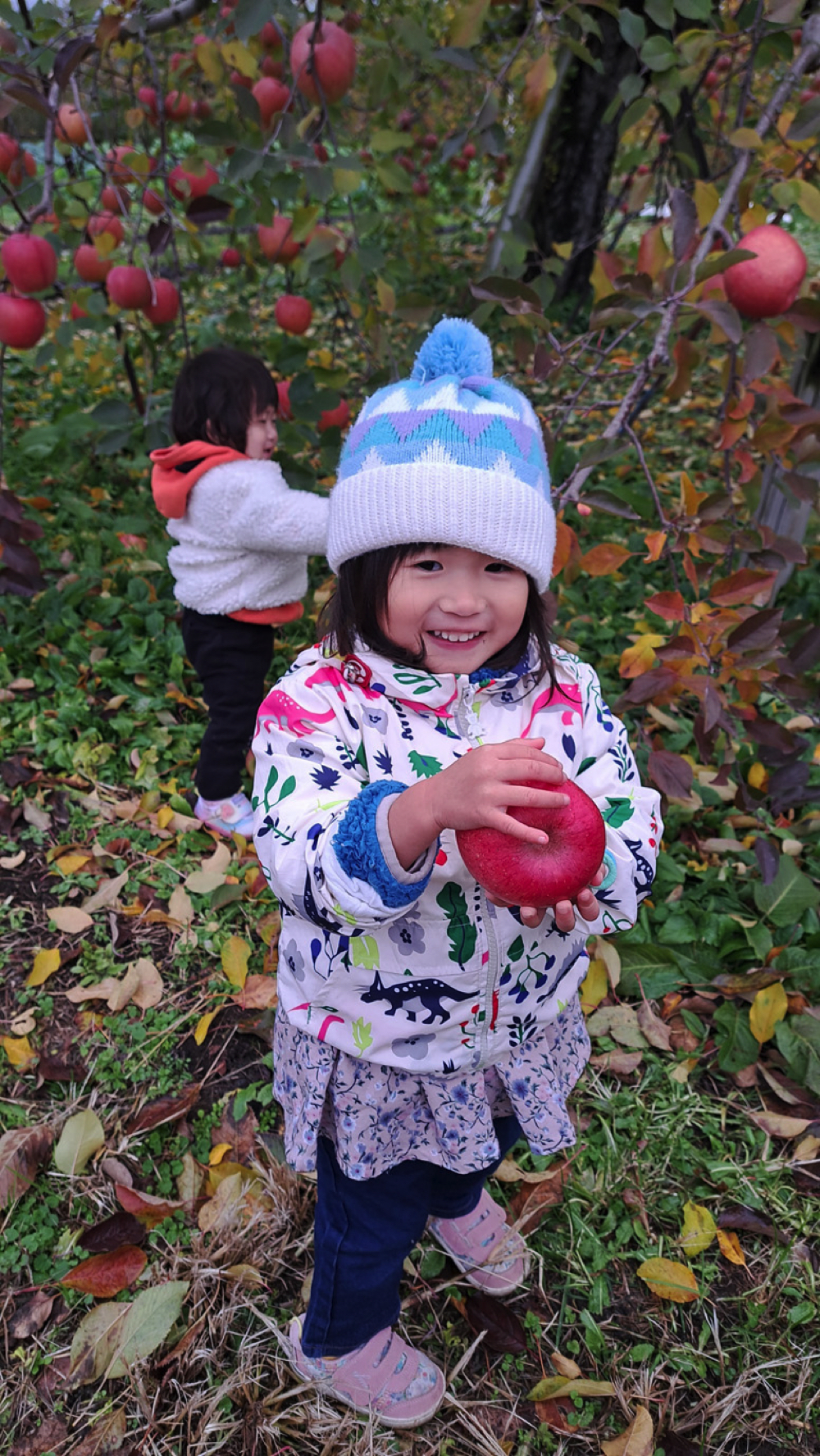 フォトコンテスト入賞作品