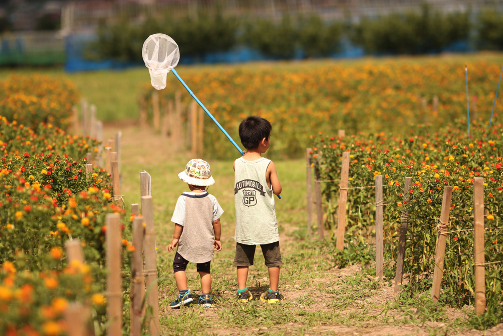 フォトコンテスト入賞作品